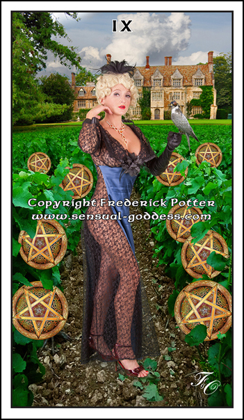 Nine of Pentacles web