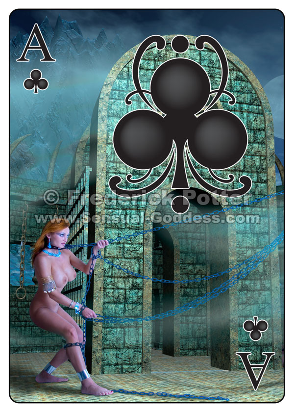 SG poker size Ace Clubs