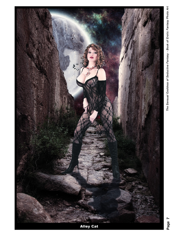 Sg of Seductive Fantasy Book7