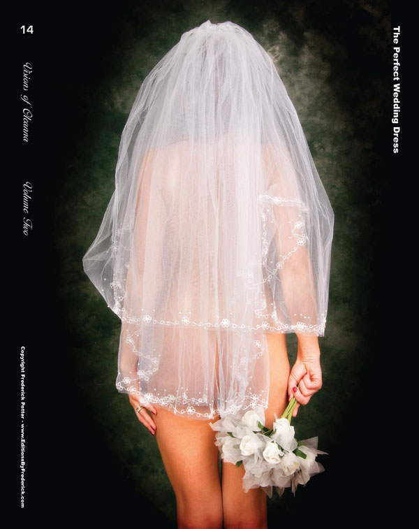 Visions of Oleanna Vol 2 Page 14