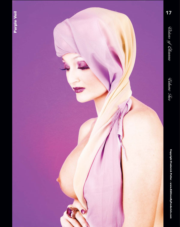 Visions of Oleanna Vol 2 Page 17